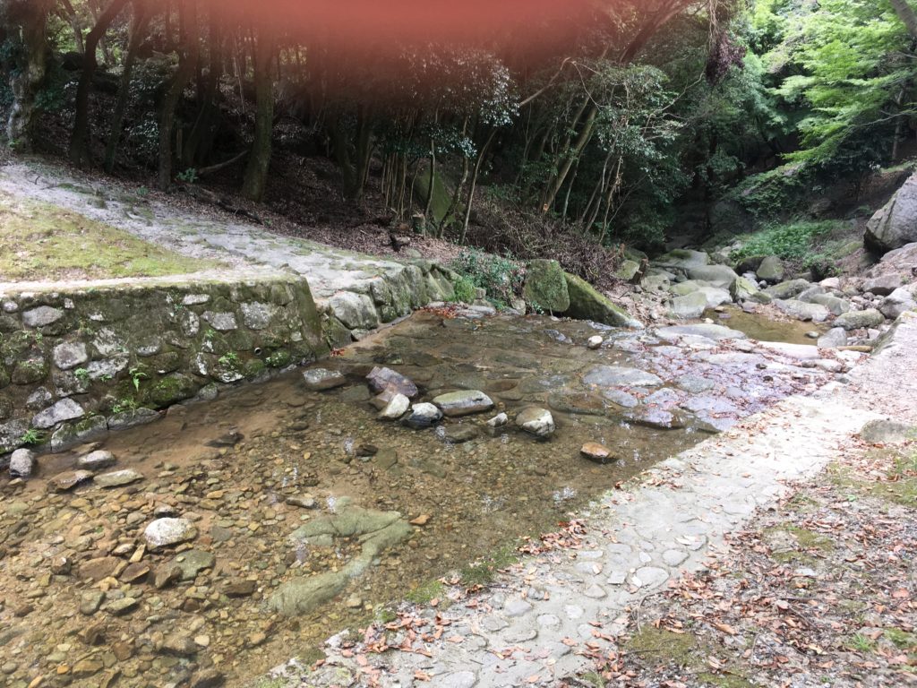 一本松公園(昭和の森)川